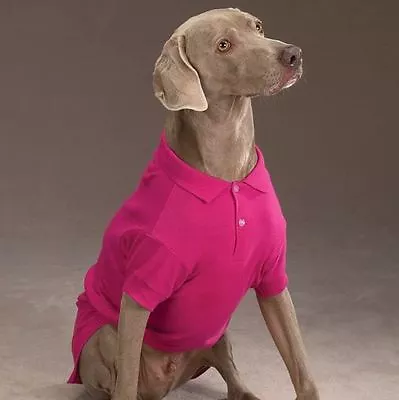 Dog Polo Shirt Top Zack & Zoey Pink Blue Red Green NEW XXS - XXL POLOS Pet • $15.99