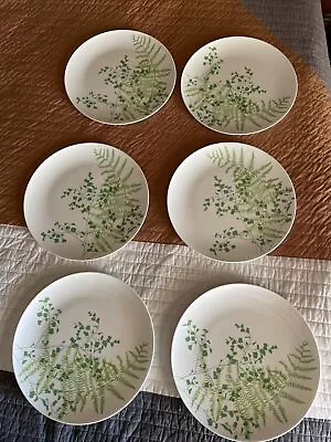 6 Lacy Fern A5-101 Vera For Mikasa Dinner Plates  Vera Neumann • $150