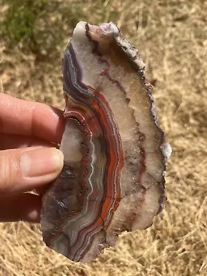 Crazy Lace Agate Slab (Mexico) • $15