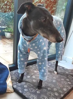 £33.50 • Buy Stars Starry Fleece Dog Pyjamas Greyhound Sighthound Lurcher Whippet Red Blue