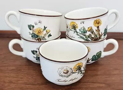 5 Villeroy & Boch Cups Botanica Tussilago Farfara Coffee Tea Yellow Flower • $20