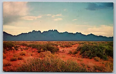 Postcard New Mexico NM Organ Mountains San Augustin Pass AC10 • $4.22