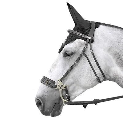 Horse Equestrian Black Genuine Leather Hackamore Bridle & Reins Set • $127