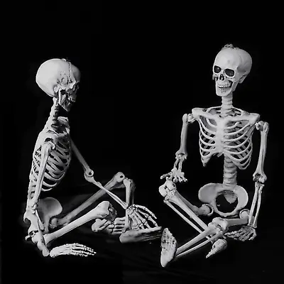 2x5.6ft Halloween Skeleton Full Life Size Party Tricky Decoration Indoor Outdoor • $118.99