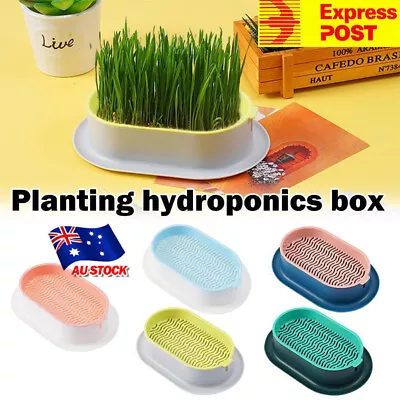 $14.59 • Buy Cat Grass Cultivation Kit Catnip Planting Box Cat Grass Growing Box W/ Seeds