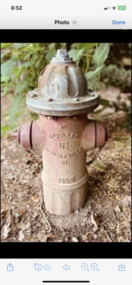 Vintage Fire Hydrant • $400