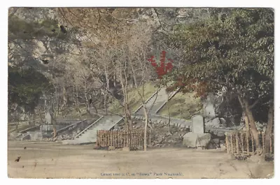 Grant Tree And C In Suwa Park Nagasaki Japan C.1910 Postcard • $4.99