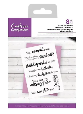 Crafters Companion Clear Acrylic Stamps - Puzzle Sentiments For Cards Gifts • £3.95