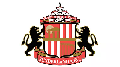 32 Sunderland Dvds Premier League Champions Europa Uefa Epl Fa Cup • £14.99