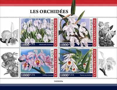 Central Africa - 2022 Orchid Flowers On Stamps - 4 Stamp Sheet - CA220203a • $14.40
