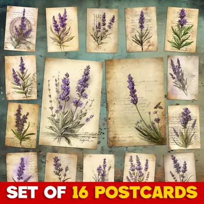 Set Of 16 Lavender Wild Flowers Vintage Postcards Cards + 16 Envelopes + Gift • £12.97