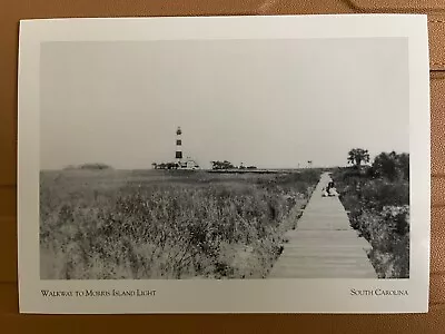 Postcard South Carolina Lighthouses- Walkway To Morris Island Lighthouse -repro • $5