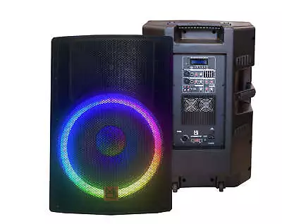 MR DJ SYNERGY18 18  5500W 2-Way Powered Active Speaker 8 Ohm Stage Bluetooth Aud • $399.99