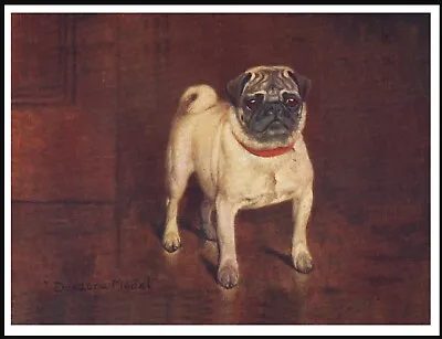 £5.99 • Buy Pug Named Champion Dog Lovely  Vintage Style Dog Art Print Poster 