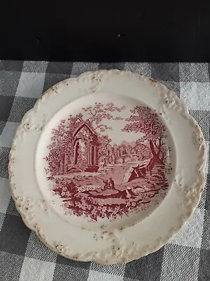  Vintage English Abbey China Plate - HTF • $10.99
