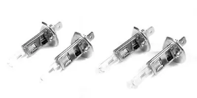 X4 H1 Halogen Bulb E-Marked E-Code Euro Smiley For BMW Headlight E30 E32 E34 E36 • $22.45