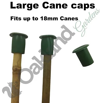 Large Garden Cane Caps Rubber Protectors Toppers Eye Protection Bamboo Plant • £109.95