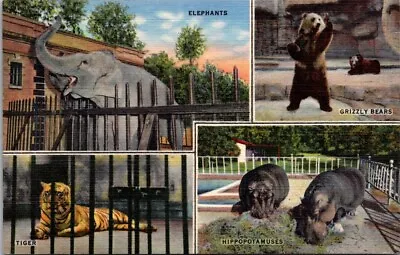 TENNESSEE Memphis Zoo 4-View Elephant Grizzly Bear Tiger Hippopotamuses Linen PC • $3.99