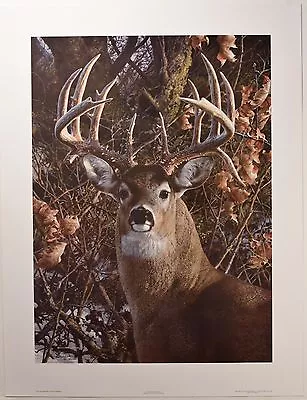 Carl Brenders  An Autumn Gentlemen  Limited Edition 750 Signed Litho W/ COA! • $205