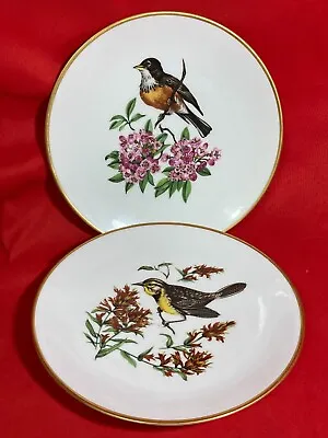 Set Of 2 Vintage 7.5  Bird Dessert Plates Alboth Kaiser Bavaria Vogel W Germany • $29.99