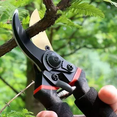 Secateurs Pruners Garden Pruning Shear Pruner Cutter Bypass Hand Tool Scissors~ • £9.20