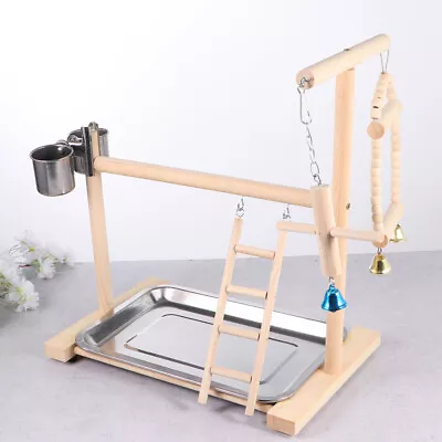 Parrot Playstand Birds Play Stand Cockatiel Playground Wood Perch Gym Toys AU • $25.99