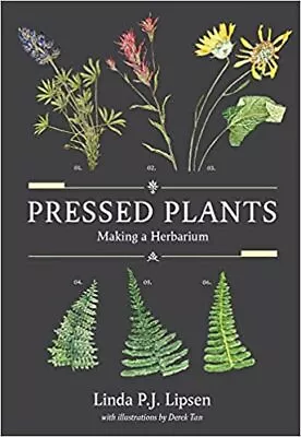 Pressed Plants: Making A Herbarium PAPERBACK 2023 By Linda P.J. Lipsen MS • $16.21