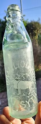 £19.99 • Buy REINDEER PICTORIAL Etched 10oz Codd Bottle From HAMILTON Bros KILSYTH SCOTLAND
