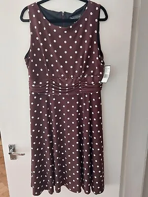 £15 • Buy Brown Spotty Dress 16