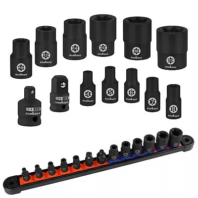 13-Piece Female External Socket Set | Female E-Torx Sockets E4-E20 | 2 Impact... • $16.70