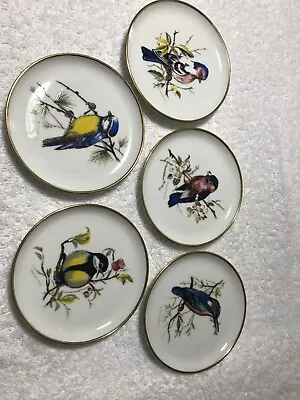Set Of {5} 4 Inch Porcelain Bird Plates Kaiser W. Germany • $19.95