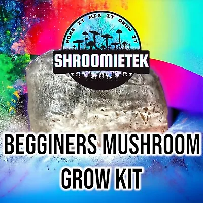 Beginners Mushroom Grow Kit 500g Ready2Grow Organic Healthy Mushrooms At Home  • £12.99
