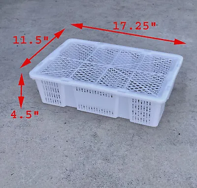 24 WHITE Plastic Storage Crates Baskets Bins Containers 17.25  X 11.5  X 4.5  • $48