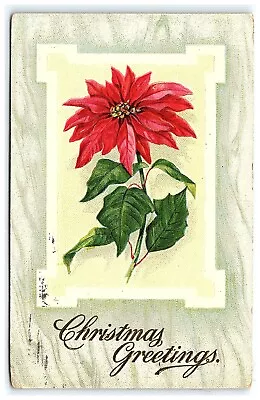 1912 Christmas Postcard Greetings Poinsettia Embossed Vintage Red Flower • $9.50