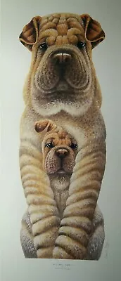 £24.99 • Buy Big And Small By Warwick Higgs Sharpei