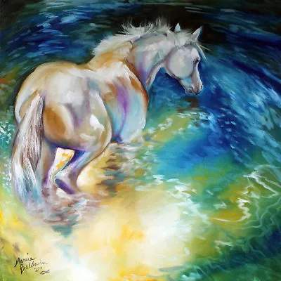 Decor  Art QUALITY CANVAS PRINTmay Waterbaby Equine Marcia Baldwin12x12  • $16.99