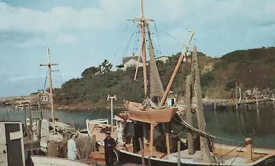 Postcard D - Menemsha Fishing Boat P2449 Martha's Vineyard Island • $0.99