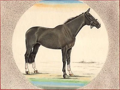 Indian Miniature Equestrian Painting Handmade Marwari Horse Stallion Animal Art • $79.99