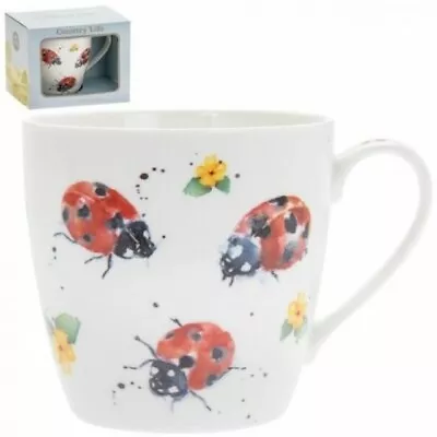 Large Fine China Ladybird Breakfast Mug Country Life Boxed Gift Lesser Pavey   • £9.49
