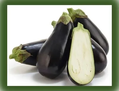 Organic AUBERGINE Seeds - BLACK BEAUTY - Heirloom Non-GMO Seeds X20 • £3.99