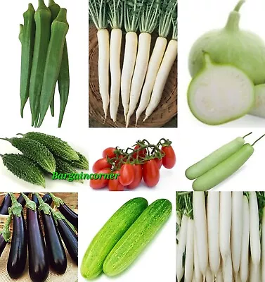 Seeds Radish Eggplant Cucumber Okra Gourd Bitter Gourd Bhindi Kheera Karela Seed • £4.98