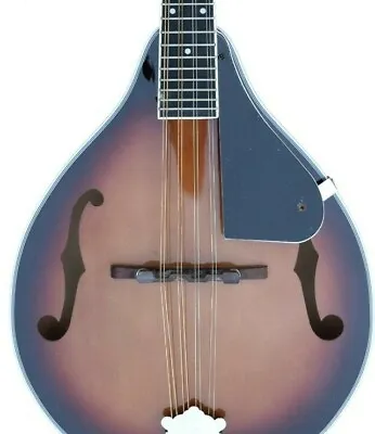 Our New Madera TM Mandolin With/ Without Preamp (Available Into 3 Colors) • $118