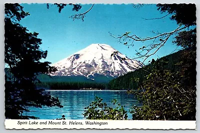 Postcard Spirit Lake And Mt St Helens Washington Chrome Unposted • $2.94