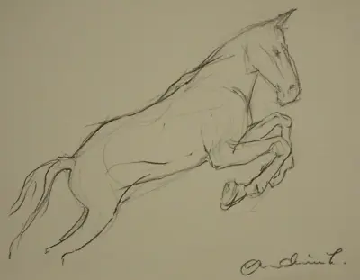 Original Signed Small Line Pencil Drawing Sketch Of A Horse Jumping • £29.99