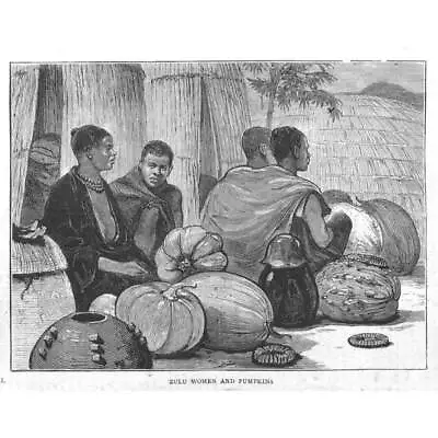 ZULU WAR Zulu Women With Pumpkins - Antique Print 1879 • £6.99