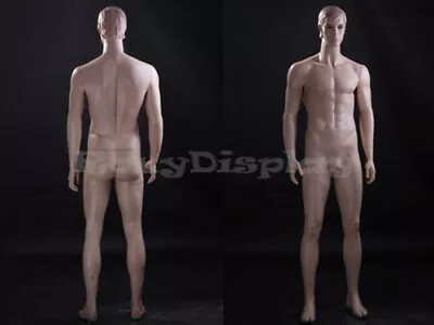 Realistic Male Mannequin With Molded Hair #MZ-WEN7 • $279