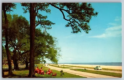 Mississippi Gulf Coast - US Highway 90 - Sunbathers - Vintage Postcard • $4.49