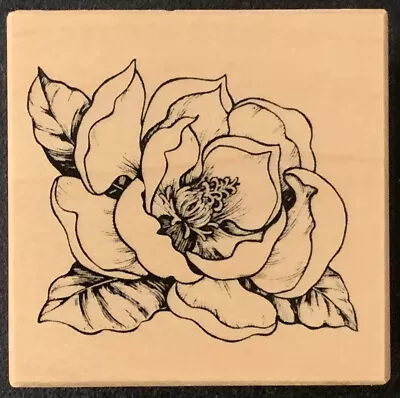 PSX E-1629 Botanical Magnolia Rubber Stamp • $12.99