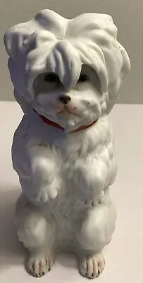 Antique Heubach Bisque 5.75” White Begging Maltese Dog Figurine Germany Stamped • $59.98