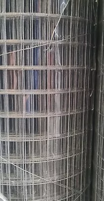 Aviary/Bird/Rabbit/Poultry Galvanised Wire Mesh Roll 1 X1 X19g X36  X 6m • £27.95